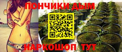 прущие грибы Беслан
