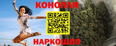 прущие грибы Беслан