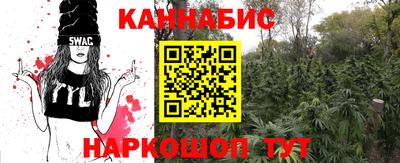 прущие крисы Бийск