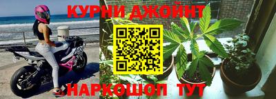 прущие крисы Бийск