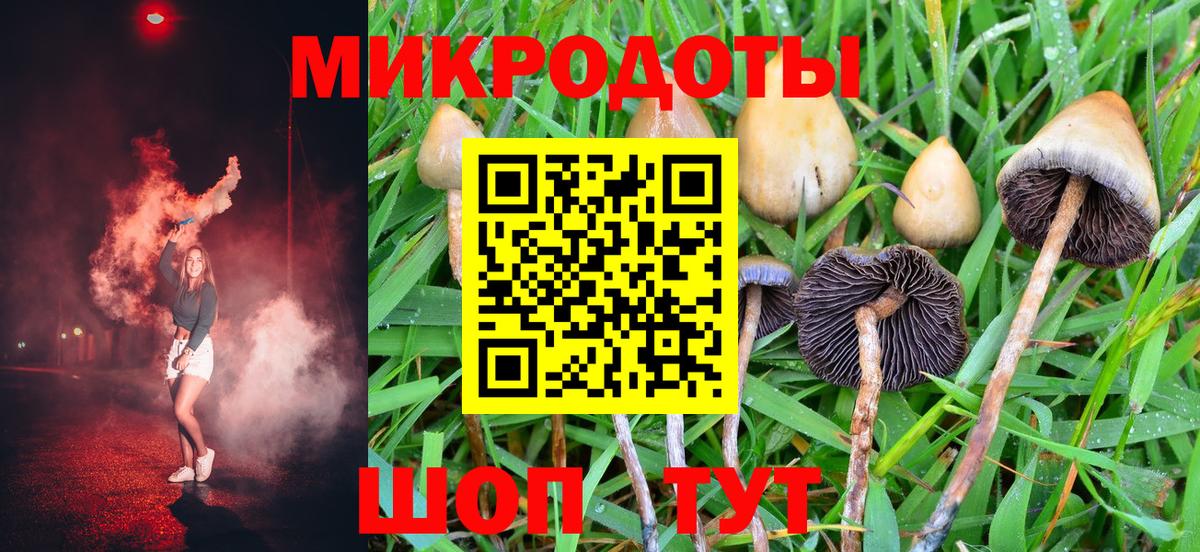 Псилоцибиновые грибы Cubensis Ипатово
